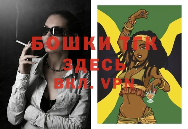 ECSTASY Инта