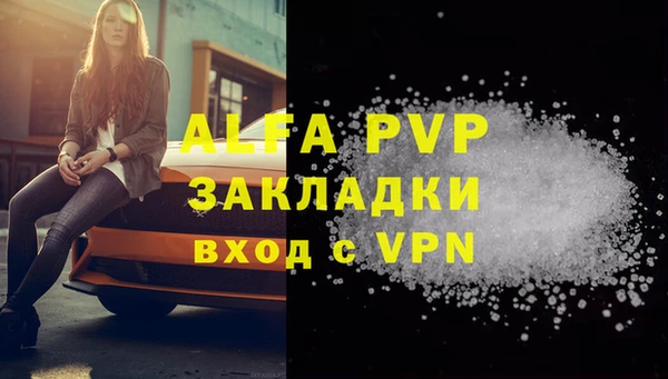 прущий лед Инсар