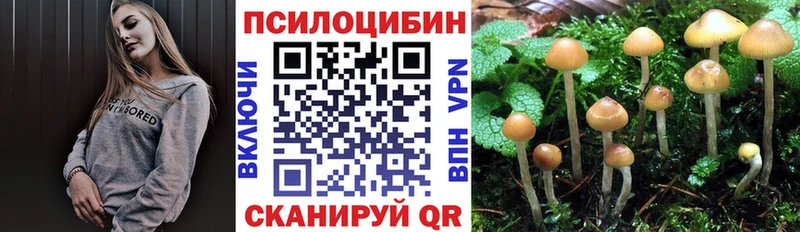сколько стоит  МЕГА сайт  Галлюциногенные грибы прущие грибы  Каргополь 